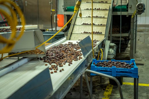 Inovace v zemědělství: Jak tisk mění potravinářský průmysl